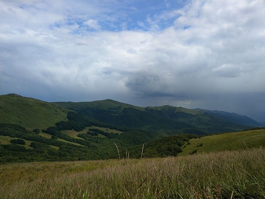 Kopa Bukowska, Halicz, Rozsypaniec