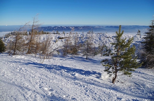 Beskid lski zim