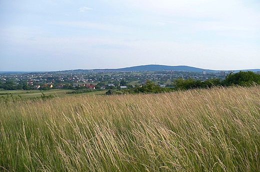 Widok z Ciekockiej na Kielce