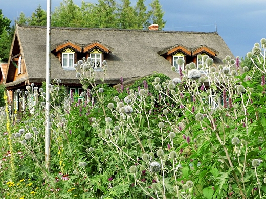 Podlaski Ogrd Zioowy - Zioowy Zaktek