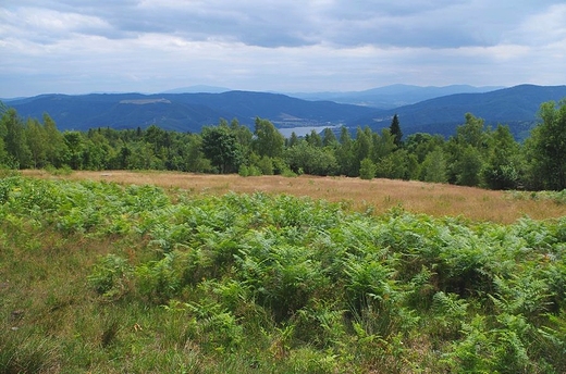 Widok z Chrobaczej ki