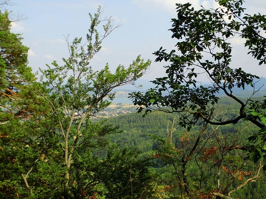 Widok z gry Chojnik