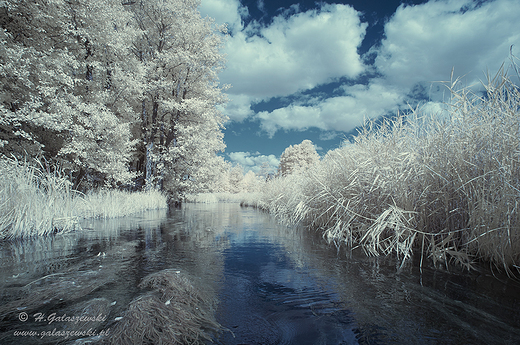 Infrared Czarna Hacza