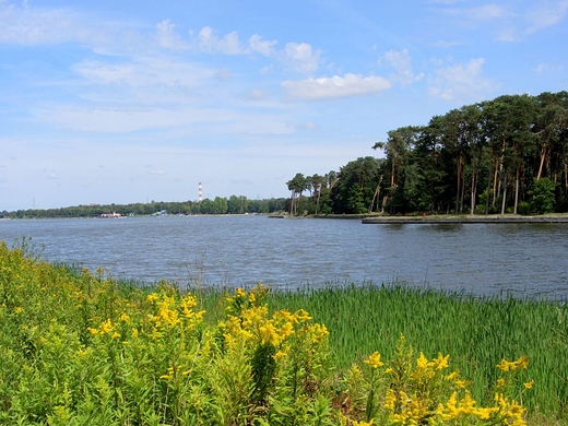 Wspomnienie lata. Zalew Zemborzycki