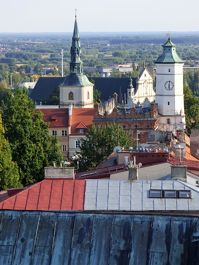 Obrazki z piknego miasta.