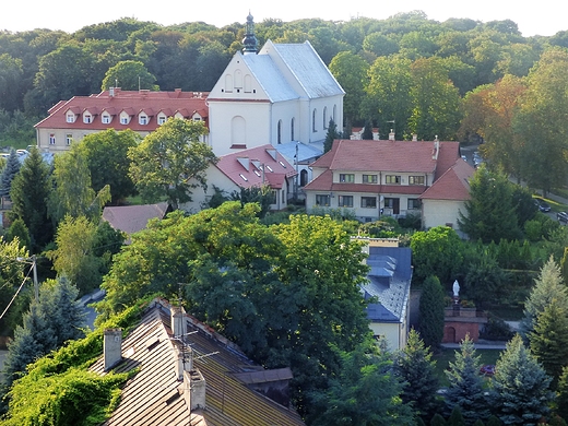 Obrazki z piknego miasta.