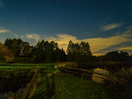 Arboretum Lene w Zielonce