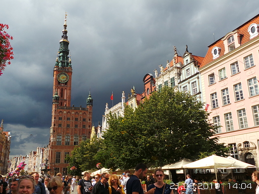 CZEKAM NA WIATR CO ROZGONI