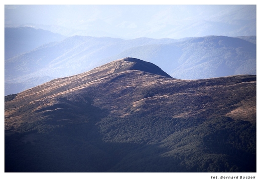 Tarnica