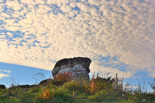 Skaki Niegowonice
