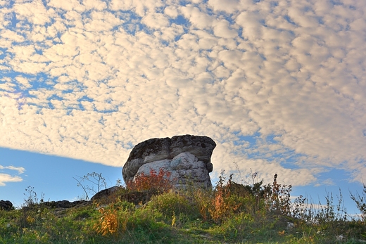 Skaki Niegowonice