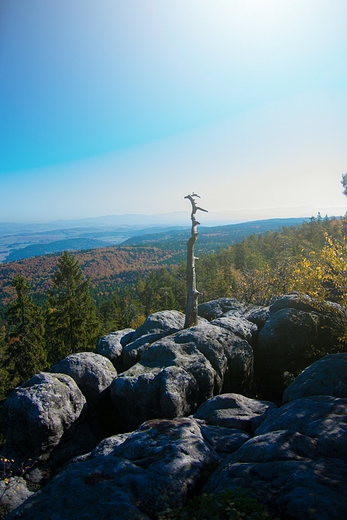 Formacje Skalne