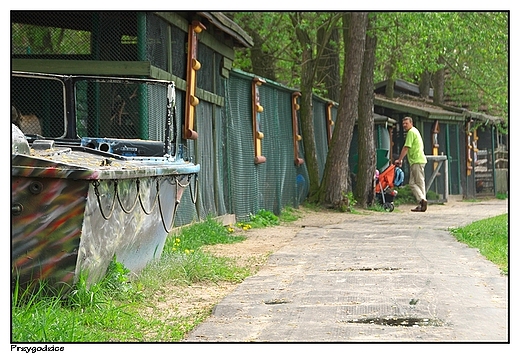 Przygodzice - Zajazd Grecznik - Mini Zoo