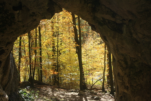 brama twardowskiego jesieni