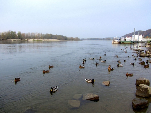 Padziernik nad Wis