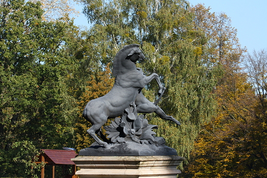 konik