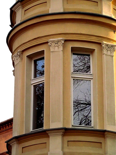 Pilastry midzy oknami