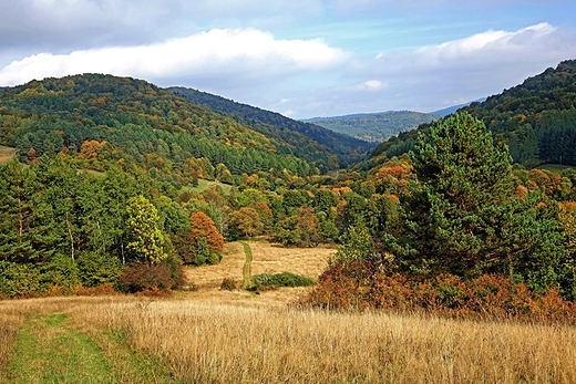 Na zielonym szlaku Krempna  Wysokie 657m