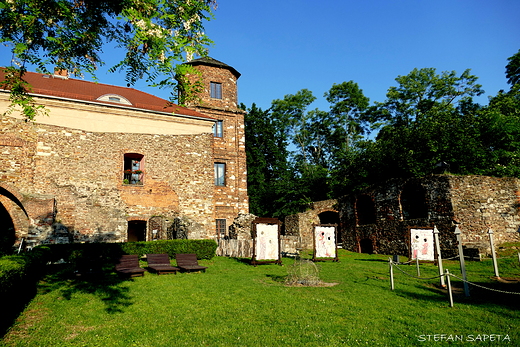 Zamek w Toszku