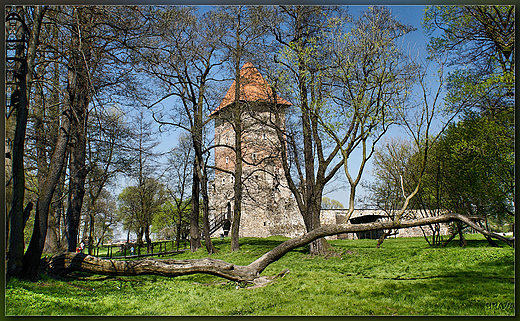 Ruiny zamku w Chudowie