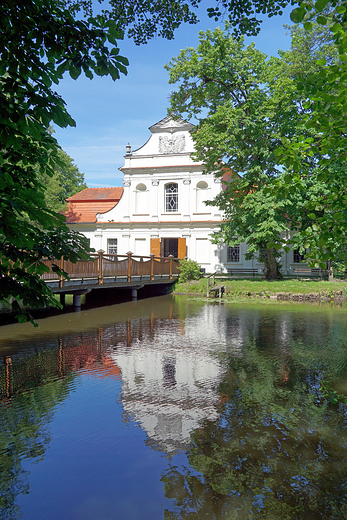 Zwierzyniec. Koci na wodzie