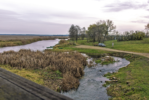 Rzeka Narew