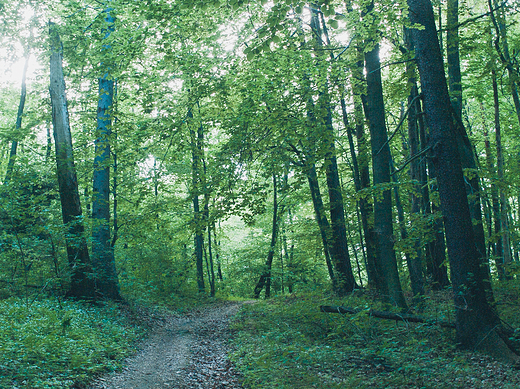 Ojcowski Park Narodowy