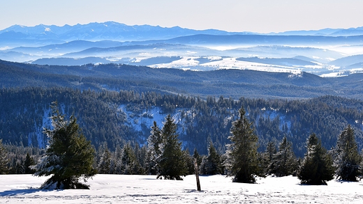 Tatry widok z Rysianki