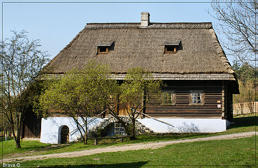 Skansen w  Wygiezowie - chaupa sotysa z Przeginii Duchownej