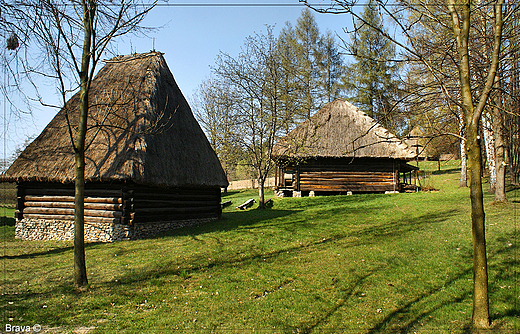 Skansen w  Wygiezowie - olejarnia z Dbrowy Szlacheckiej z XIX w.