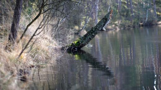 Jezioro Olbrachta