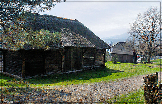 Skansen w Wygiezowie - kunia z Liszek z 2 po. XIX w., z  frontowym okapem do podkuwania koni