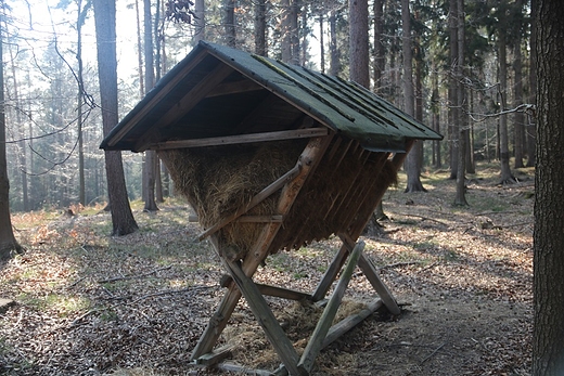 Jest taki samotny panik