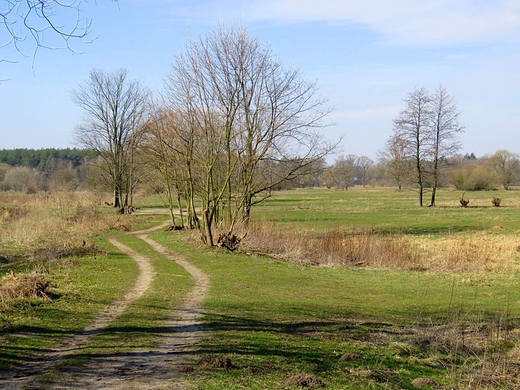 ki nad Mieni