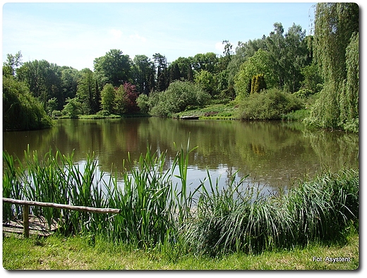 Ogrd Dendrologiczny w Przelewicach