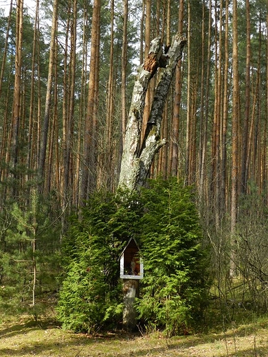 Urokliwa lena kapliczka