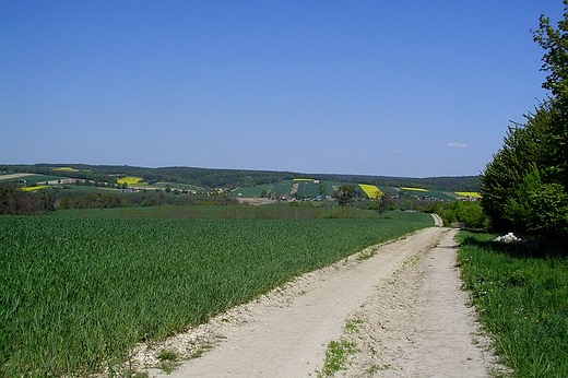 Panaroma okolic: BIaki, Niemienic i Wielobyczy