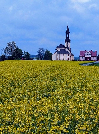 Koci parafialny w Chrzanowie