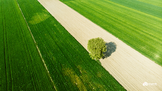 Polne klimaty