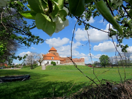 Mazowiecka stranica nad Liwcem