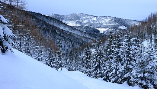 Dolina Jaworzynka