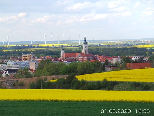 MOJE MIASTO INACZEJ