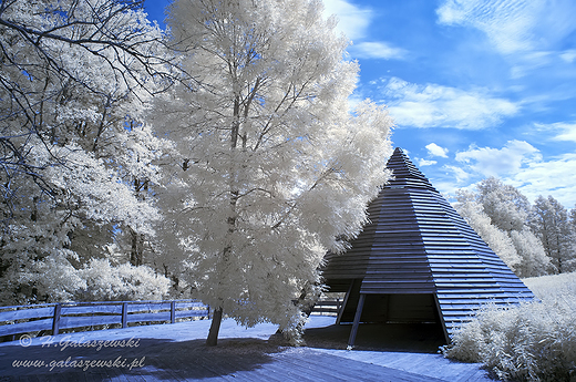 Infrared piramida