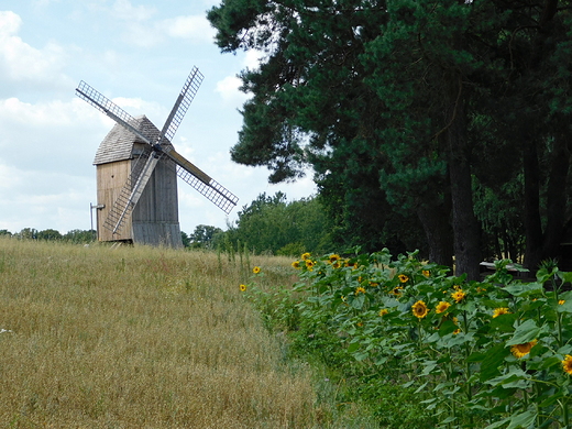 Skansen w Olsztynku