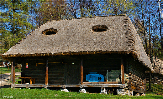 Skansen w  Wygiezowie -spichlerz z Giebutowa z 1 po. XIX w.