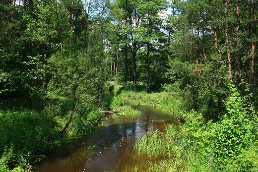 Rzeczka