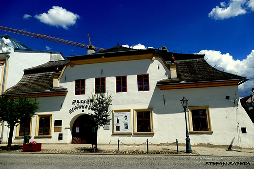 Muzeum Regionalne im. Seweryna Udzieli w Starym Sczu