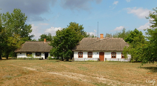 Skansen w Maurzycach