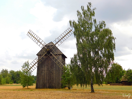 Skansen w Maurzycach