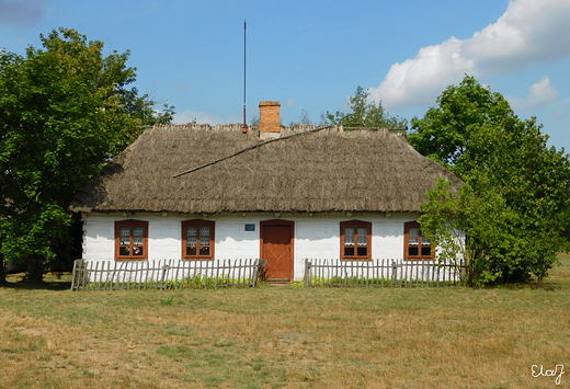 Skansen w Maurzycach